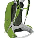 Osprey Talon 22 Back