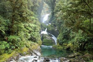 Milford Track